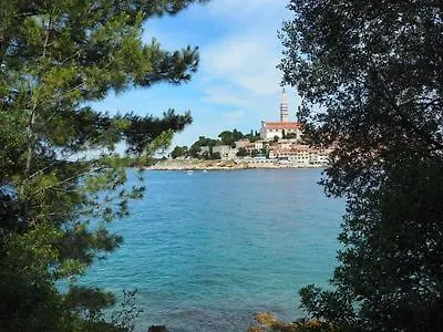 Art House With Pool By Rovinj-Holiday 別荘